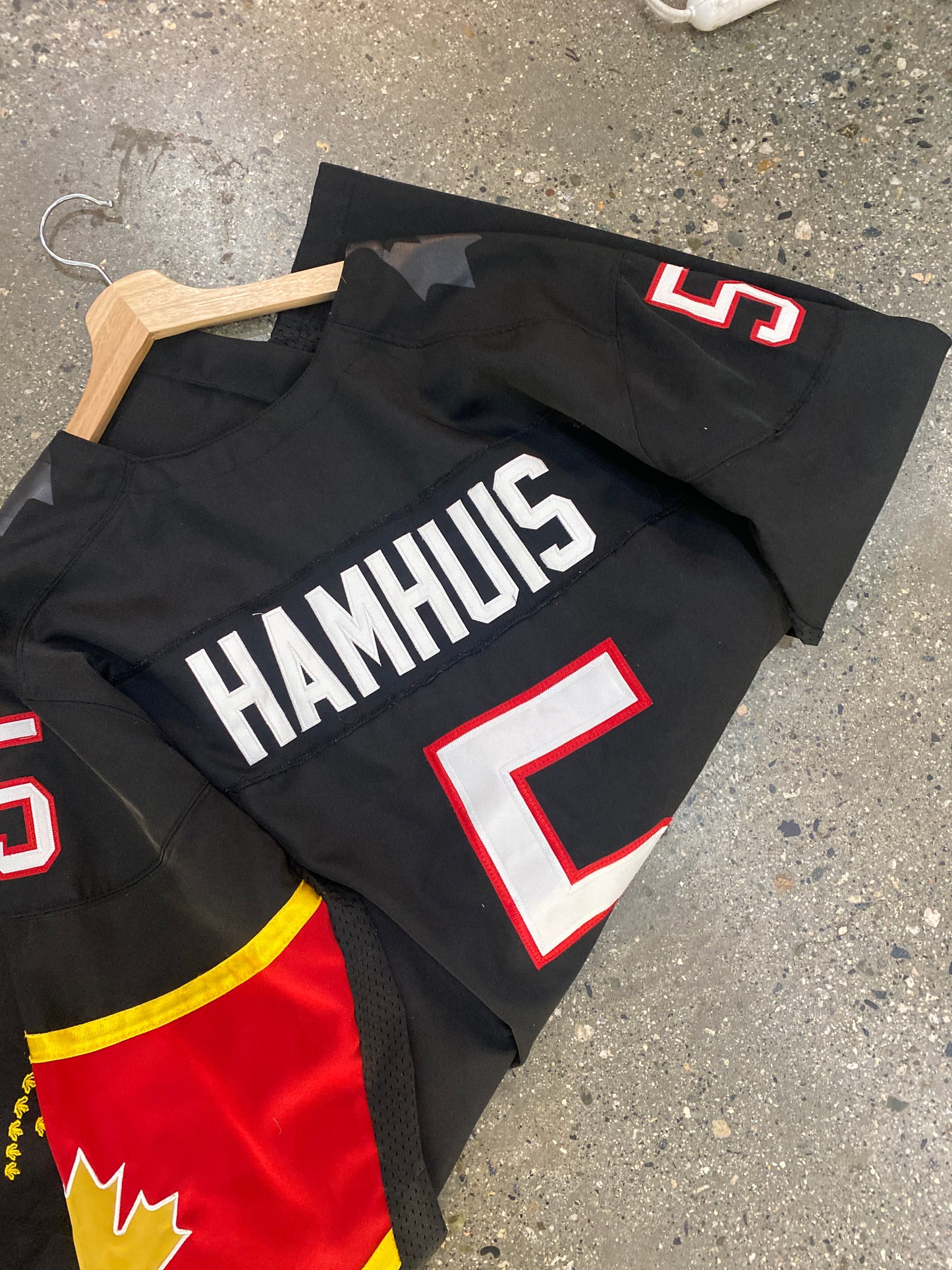 (2X) Team Canada Dan Hamhuis Jersey