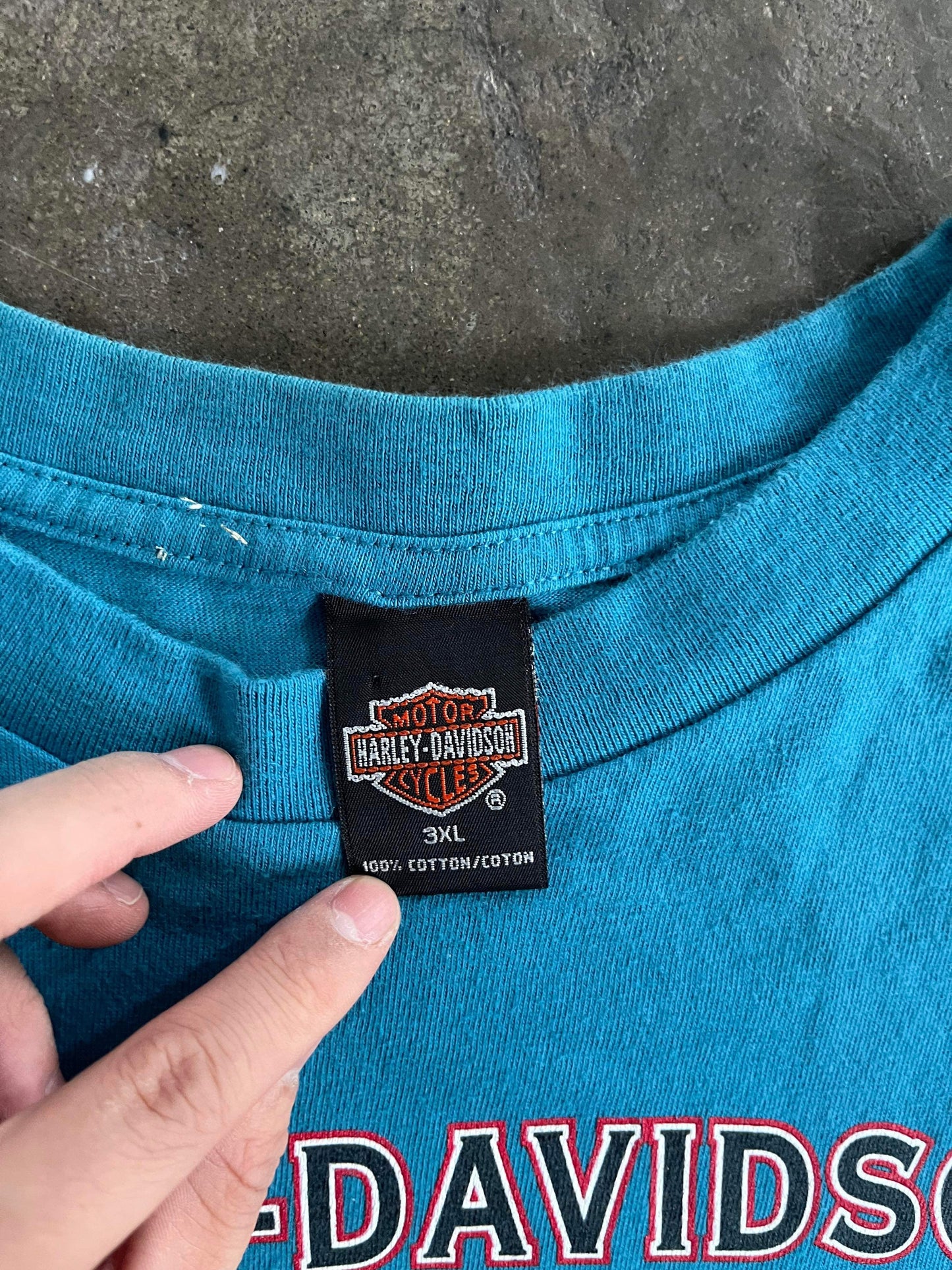 ~ (3X) Distressed 2000 Naples Harley Davidson Tee