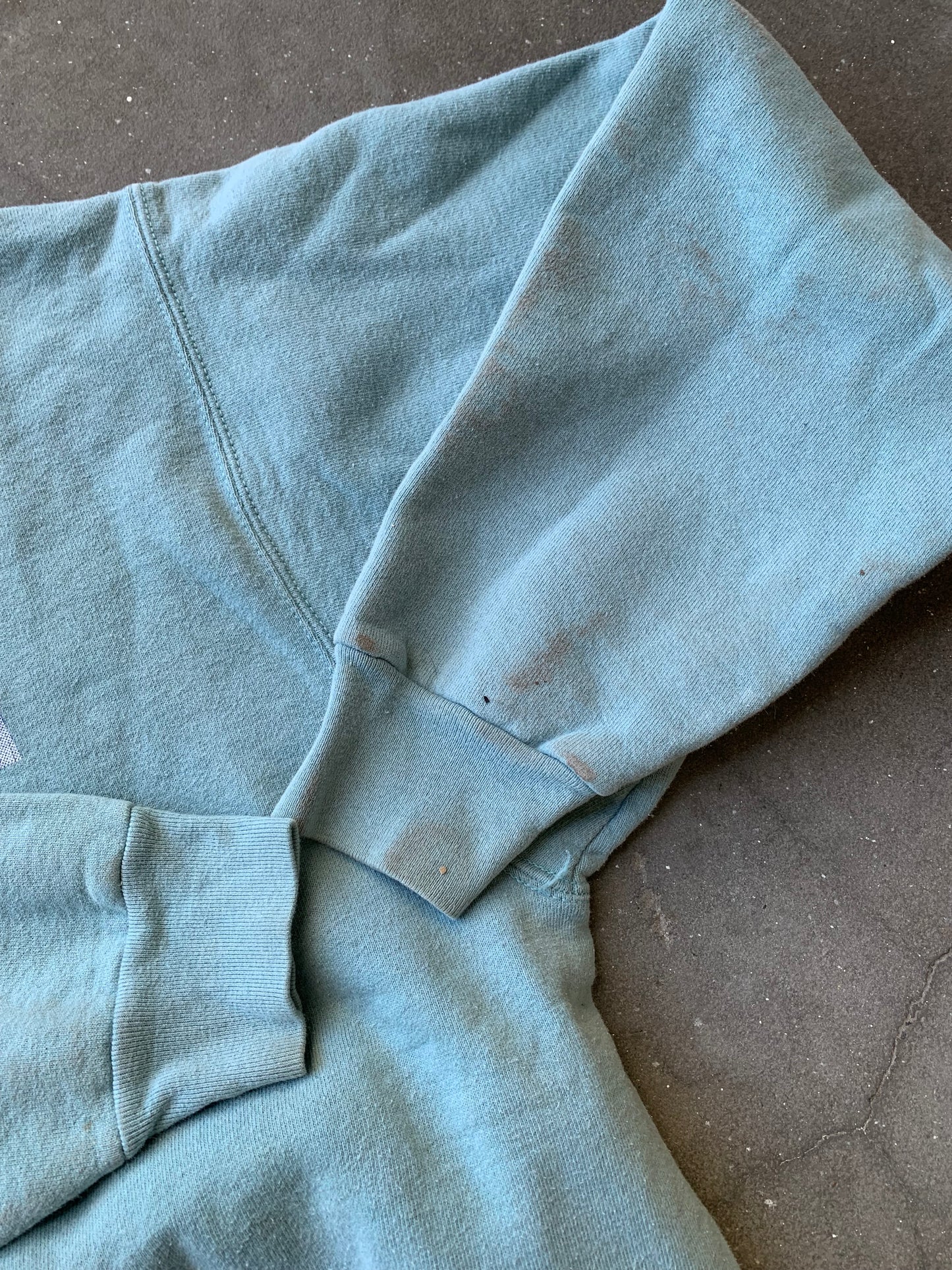(L) 00’s Snowmobile New Hampshire Cow Crewneck