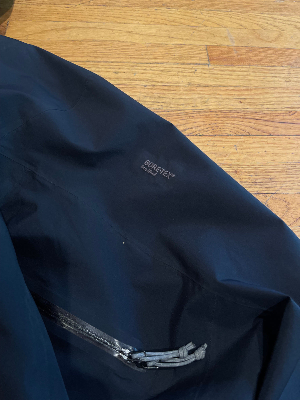(Mens L) 2004 Arcteryx Alpha SV
