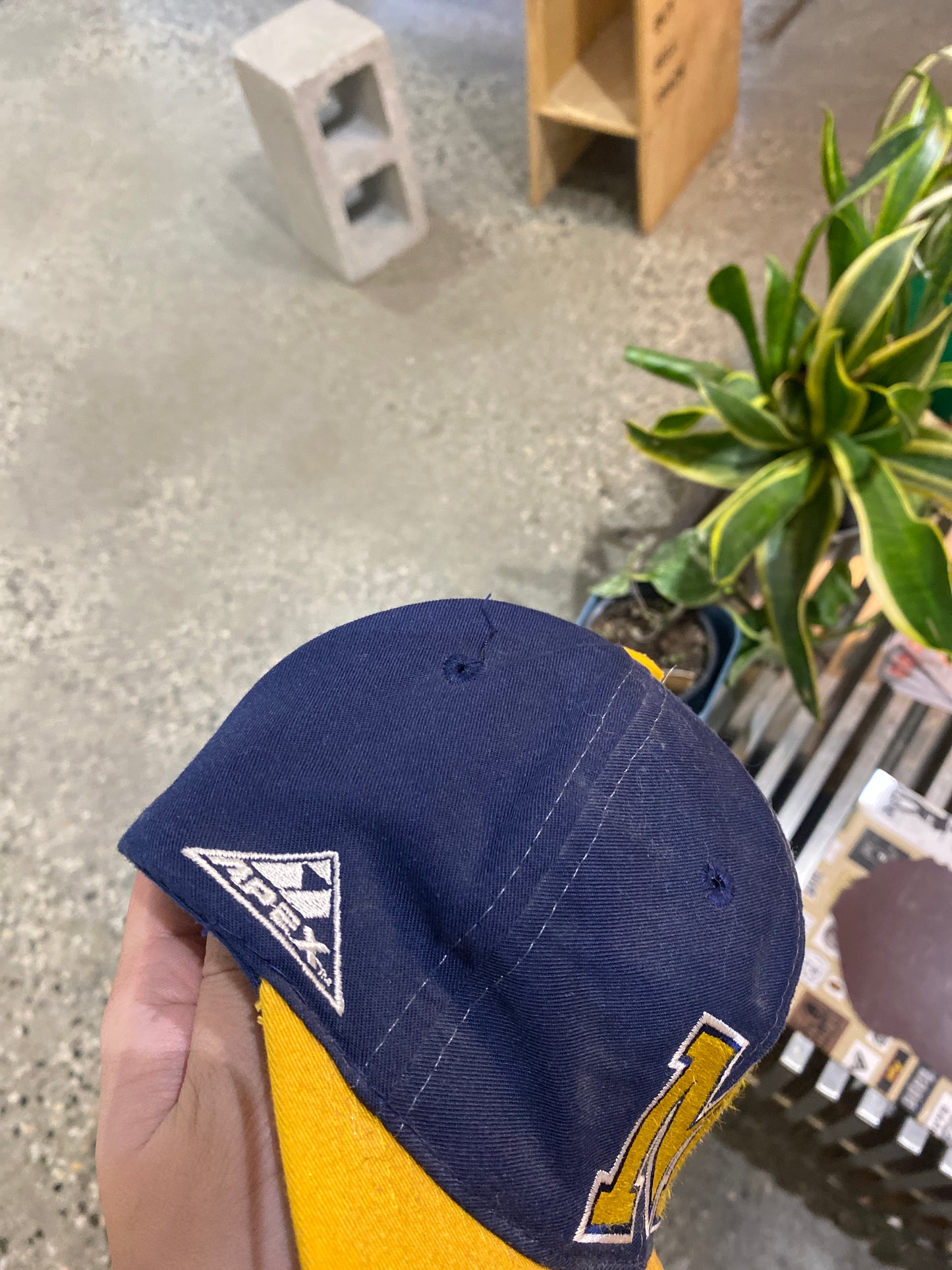 (OS) Apex Michigan Script Hat