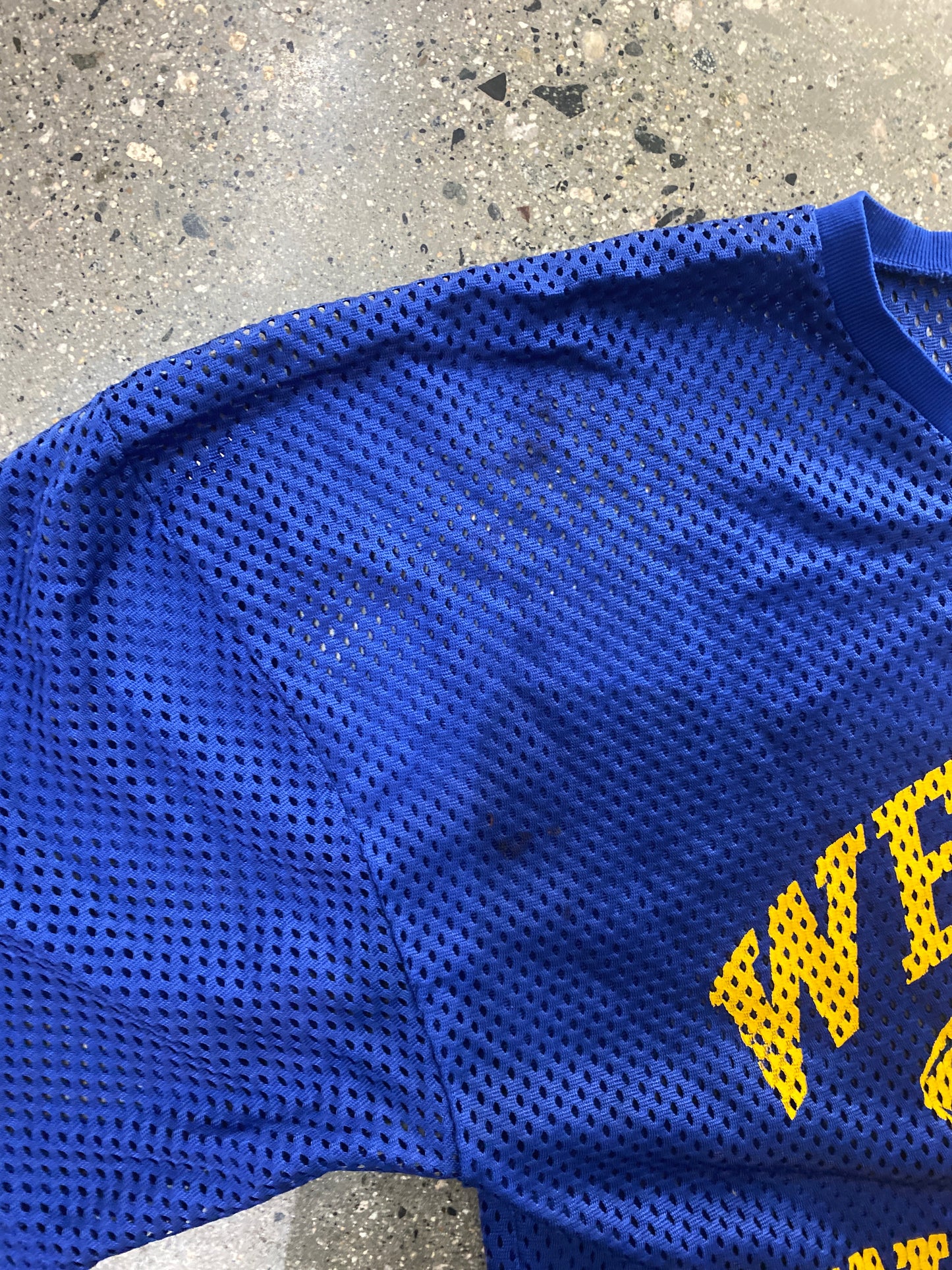 (XL) Vintage Champion Webster Warriors Cropped Jersey