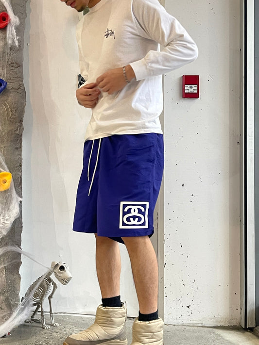 (L) Stussy Box Logo Shorts