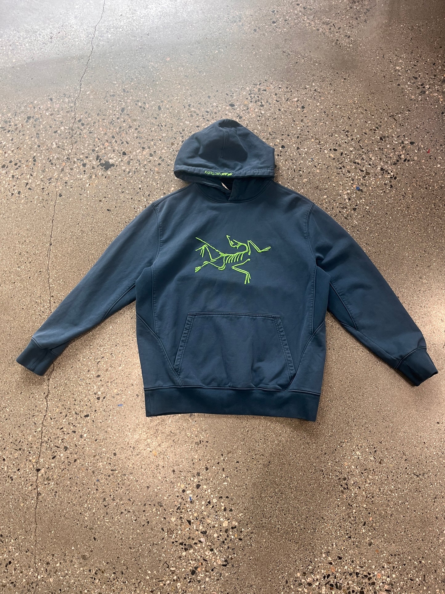 (L) Arcteryx x Palace Hoodie