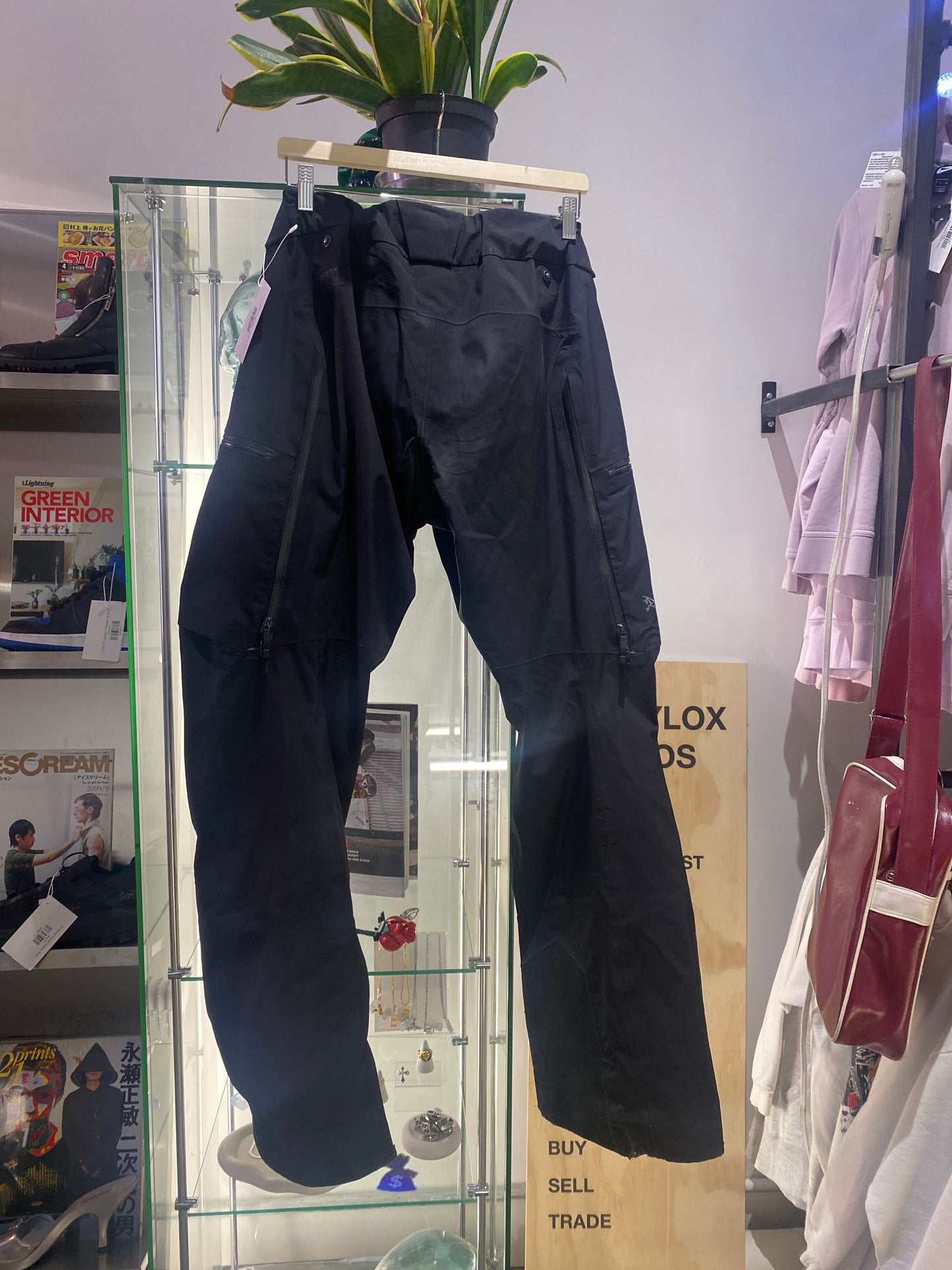 (L) Arc’teryx Sabre Pants ( Retails for $750 )