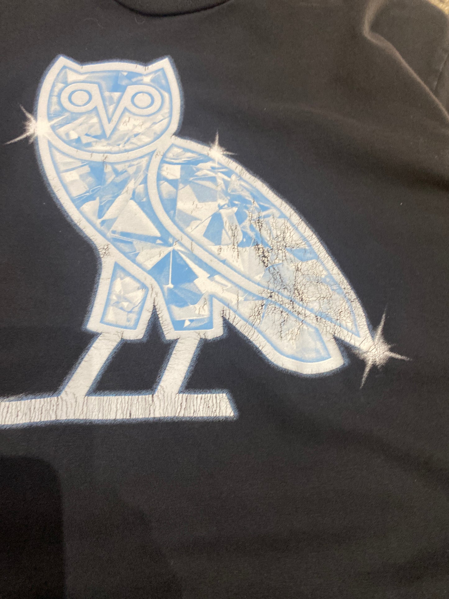 (XL)Ovo Owl Ice Tee