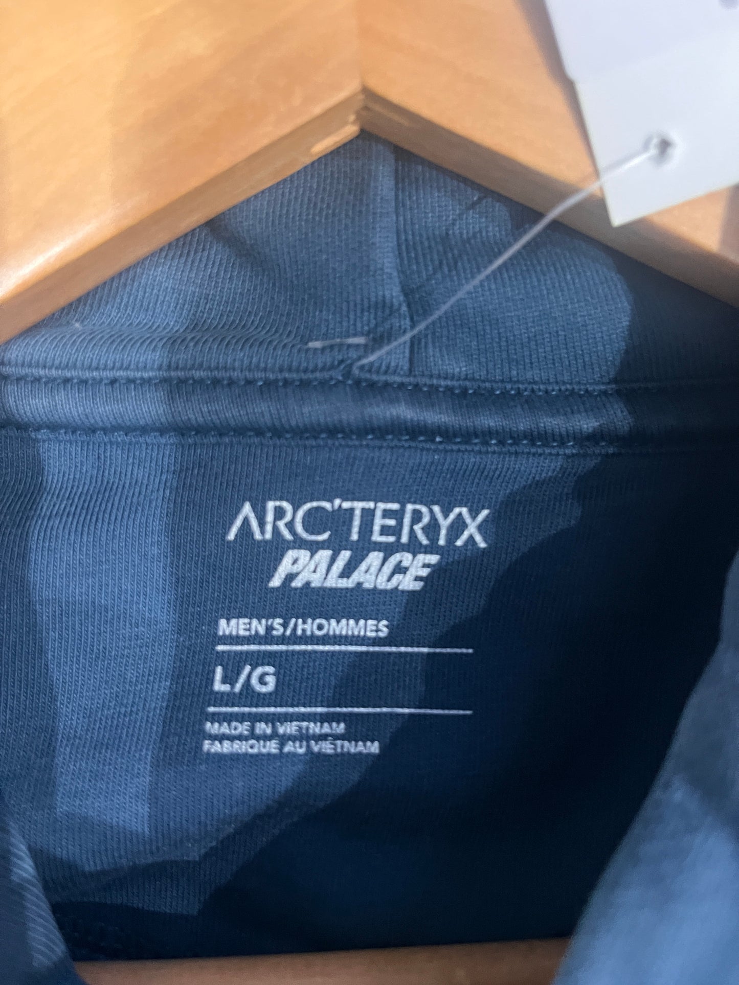 (L) Arcteryx x Palace Hoodie