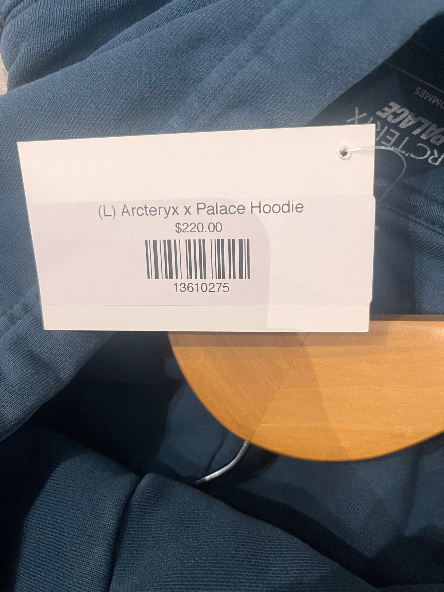(L) Arcteryx x Palace Hoodie