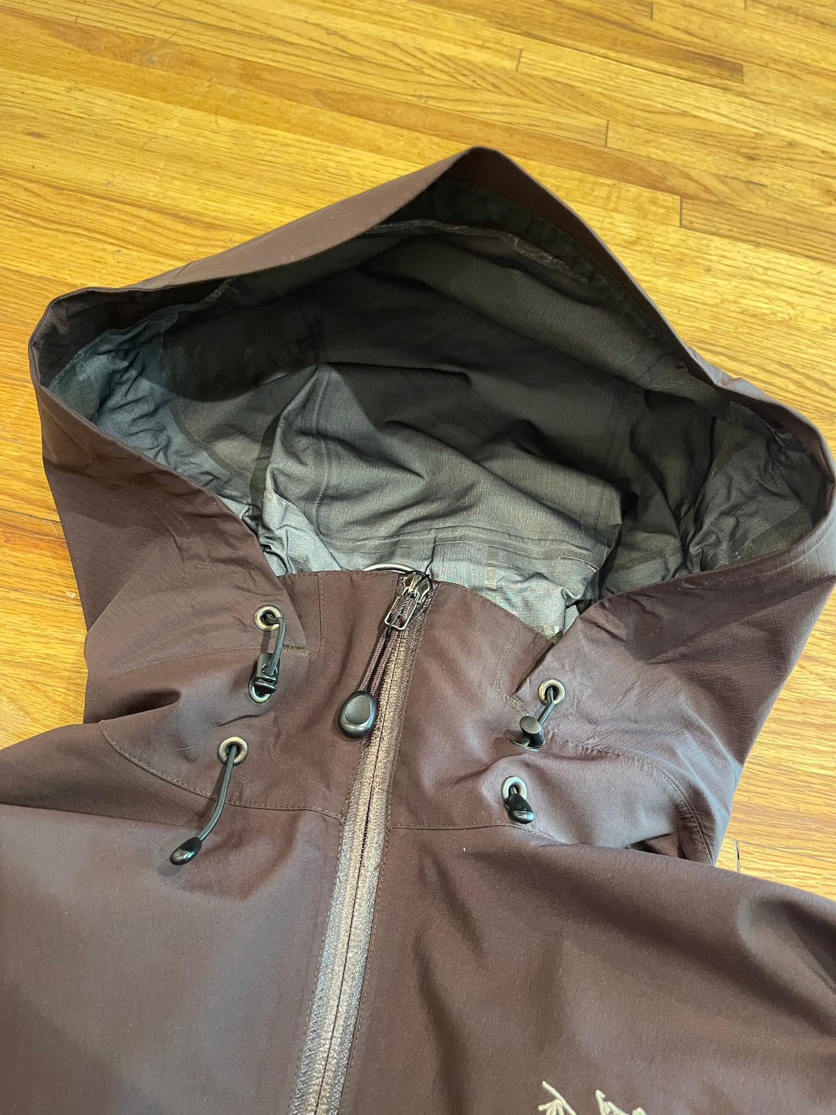 (Men’s M) 2007 Arc’teryx Alpha SV Teak Color Goretex Pro Shell ( as is )