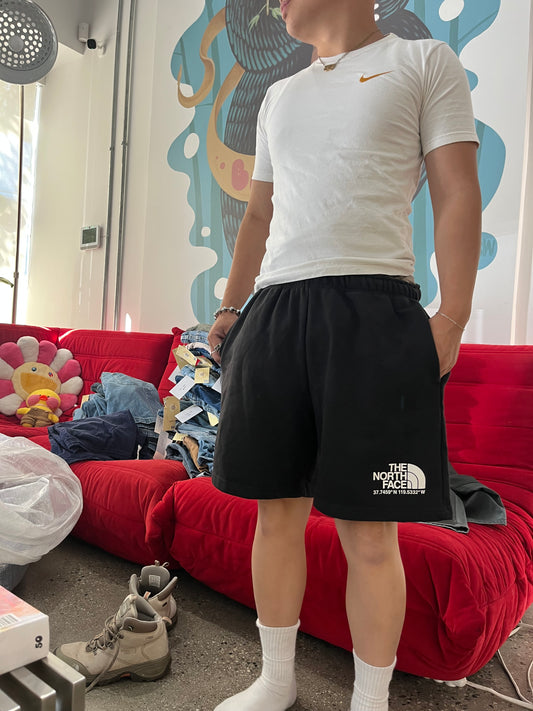 s52 - (L) North Face Sweatshorts
