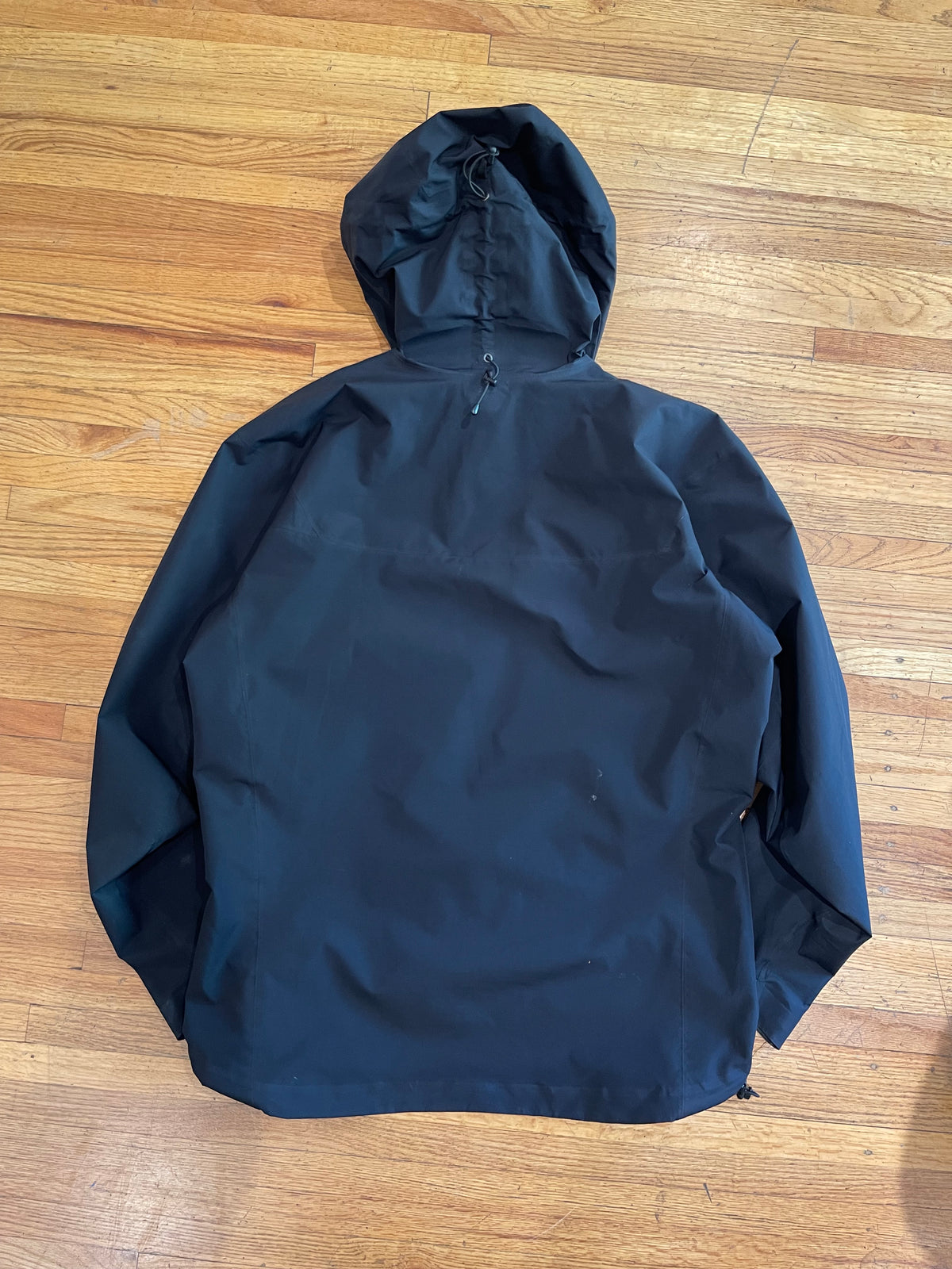 (Mens L) 2004 Arcteryx Alpha SV