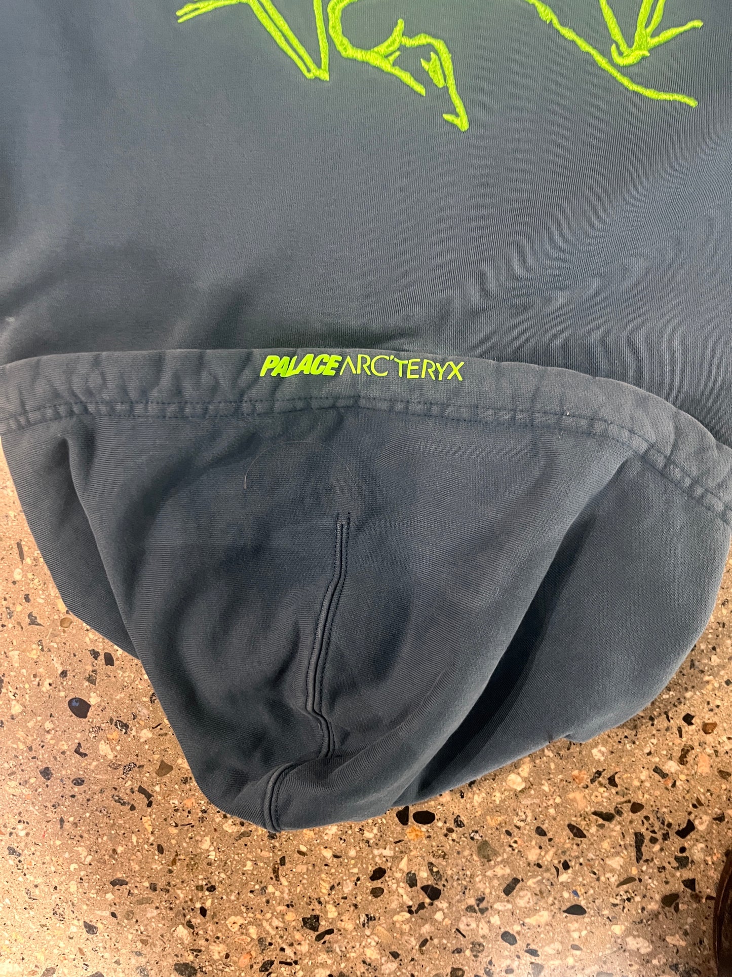 (L) Arcteryx x Palace Hoodie
