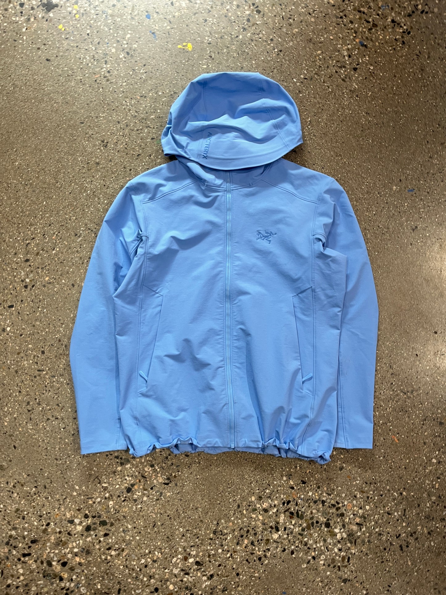 (Womens L) Arcteryx Gamma Hoody