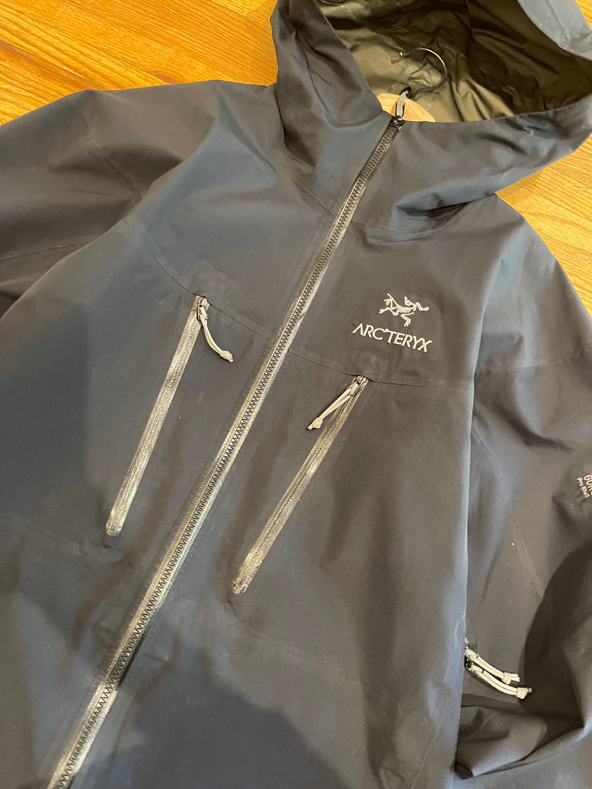 (Mens L) 2004 Arcteryx Alpha SV