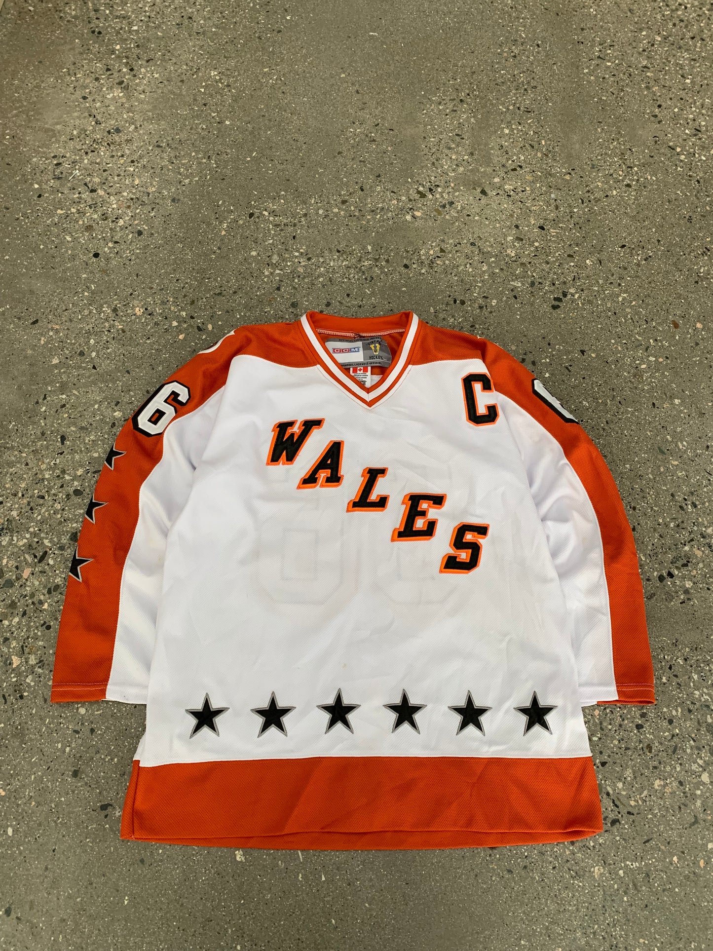 (L/XL) 80’s Souvenir NHL Wales Conference Mario Lemieux Jersey